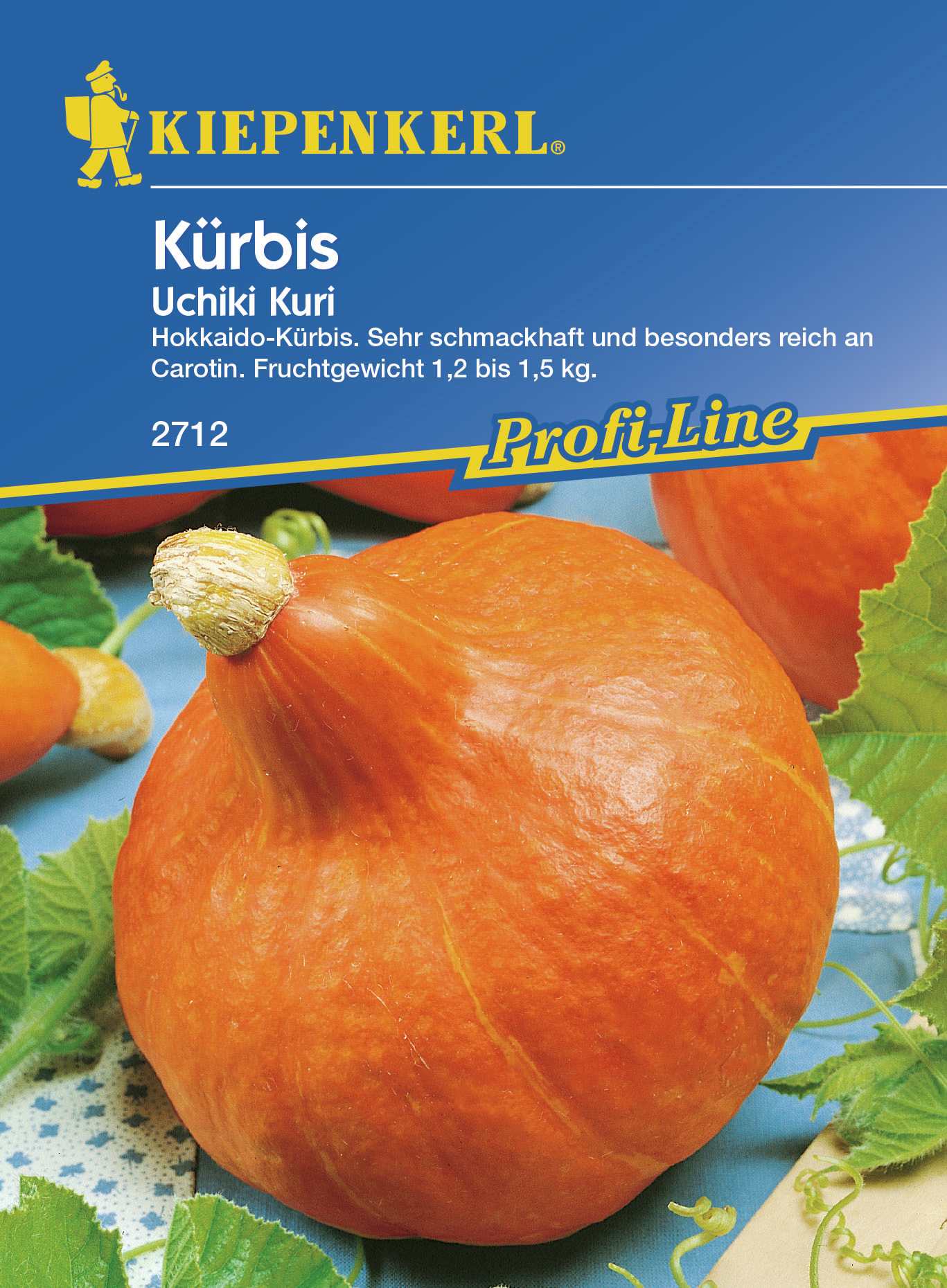 BRUNO NEBELUNG Kürbis Uchiki Kuri PG N