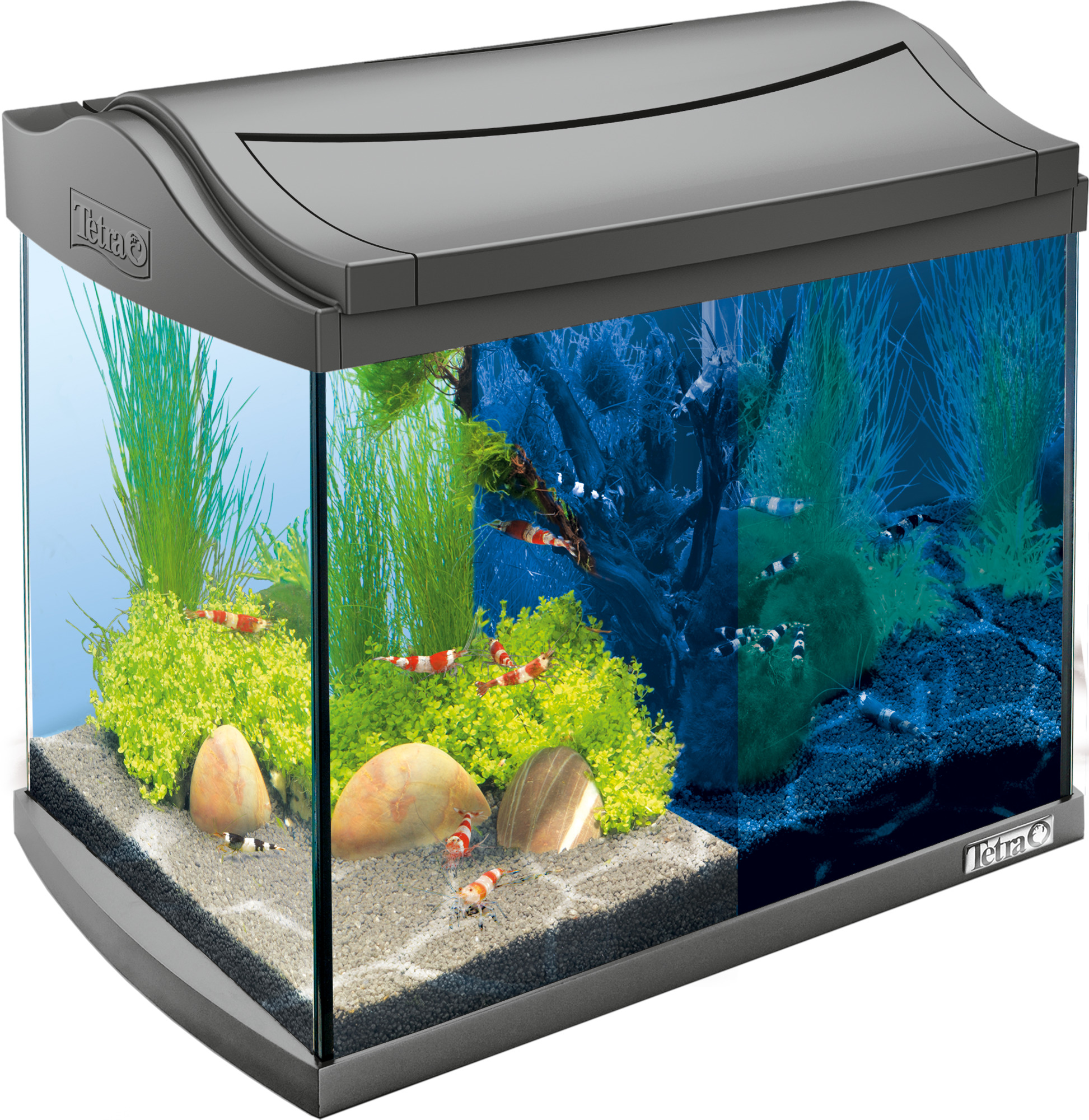 TETRA Tetra Aqua Art LED Aquarium-Kom-Set 20L Aquarium-Komplett-Set Anthrazit