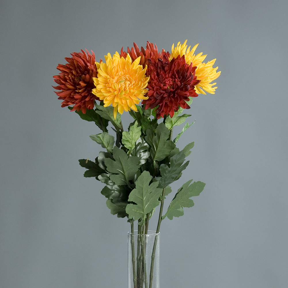 DPI GMBH - BRÜHL Chrysantheme farbig sortiert 72cm 