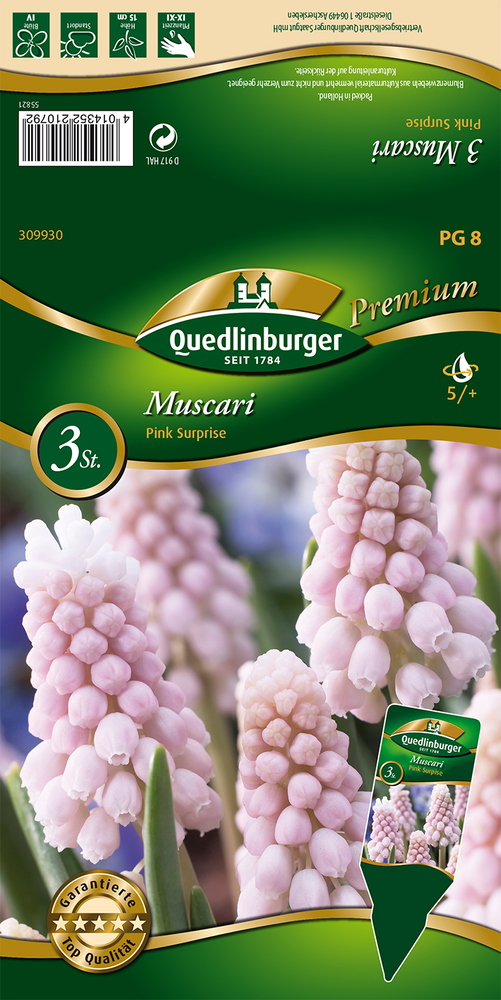 VERTRIEBSGESELLSCHAFT QUEDLIN- - Muscari Pink Surprise Premium Blumenzwiebeln