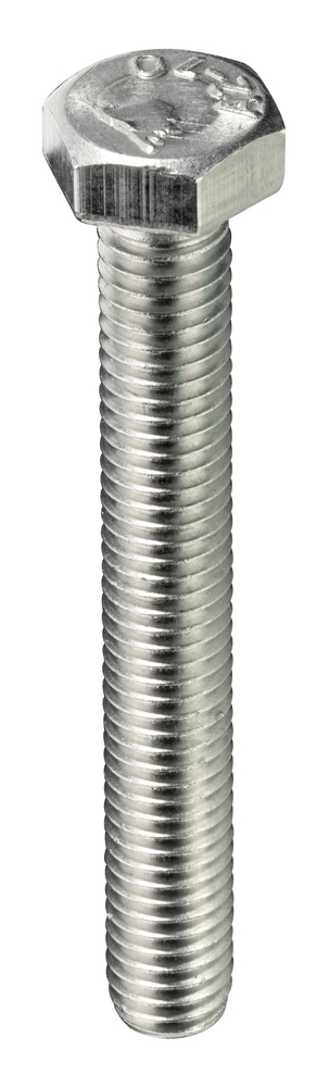 HSI Maschinenschrauben rostfrei M6x40mm mit Muttern (PG Q)