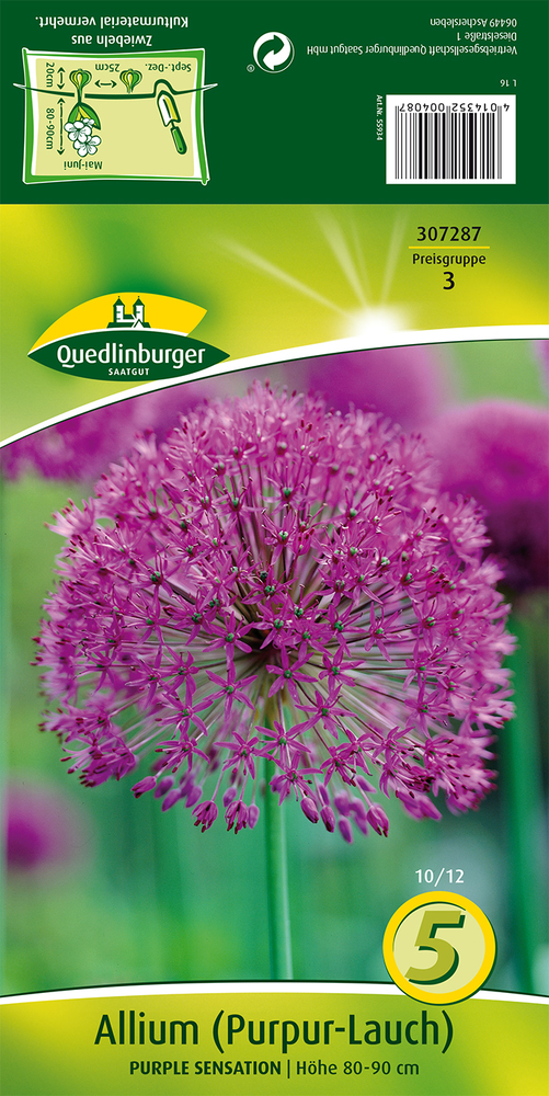 VERTRIEBSGESELLSCHAFT QUEDLIN- - Allium (Purpur-Lauch) Purple Sensation 