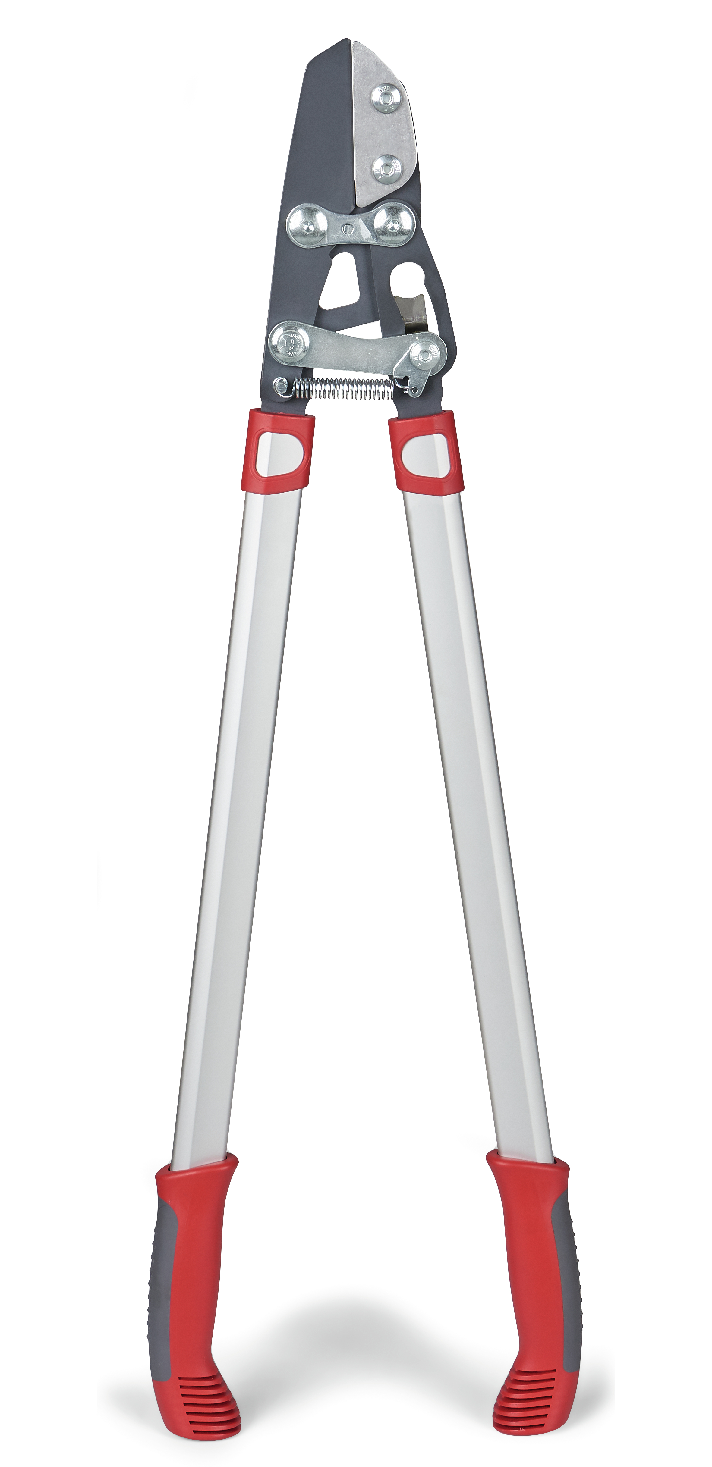 MTD PRODUCTS AG  -  WOLF GARTEN POWER CUT RS 800  V Astschere 