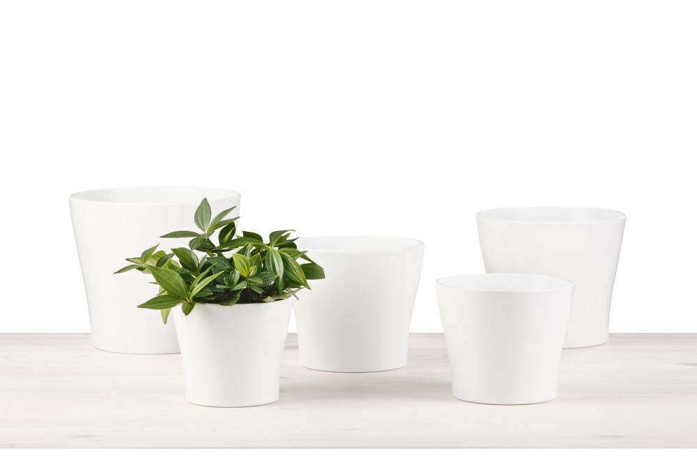 SCHEURICH Übertopf 808/15 cm Panna 