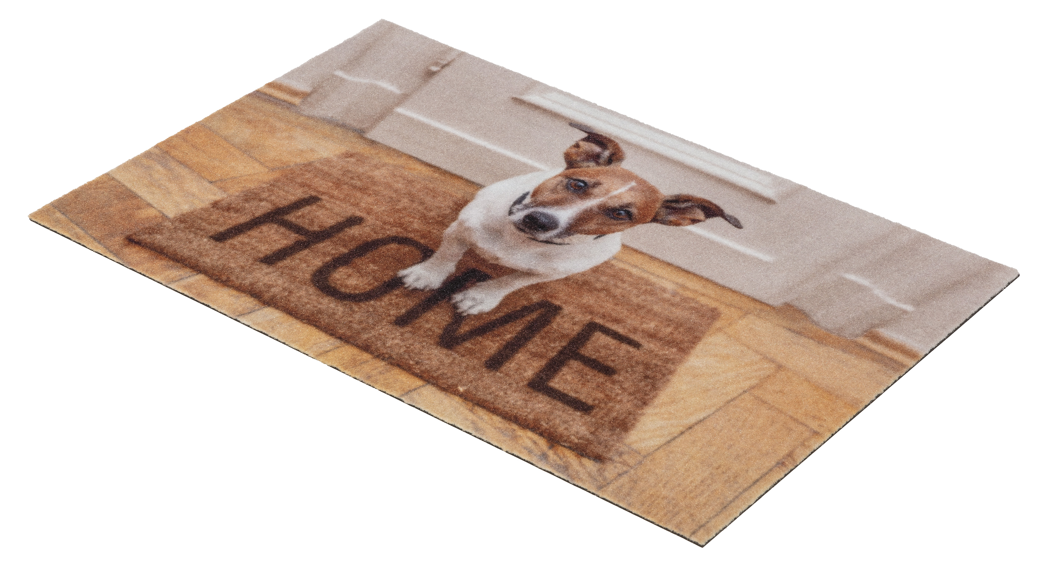 GOLZE & SÖHNE Fußmatte Deco Print Hund Home 40x60cm D.101