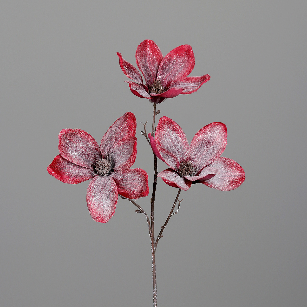 DPI GMBH - BRÜHL Magnolie mit 3 Blüten 45cm 