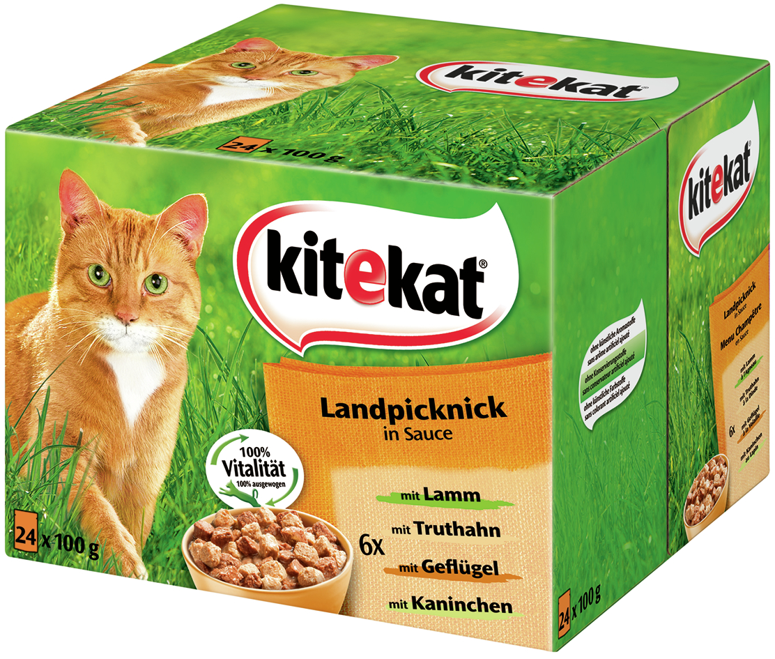 BTG BETEILIGUNGS GMBH Kit PB MP Landpicknick in Soße 24x100g 