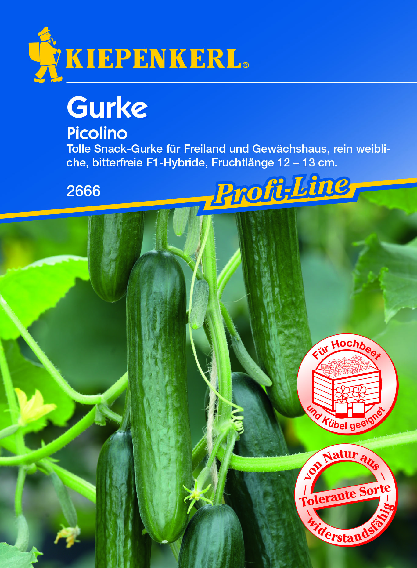 BRUNO NEBELUNG Gurke Picolino F1 PG R