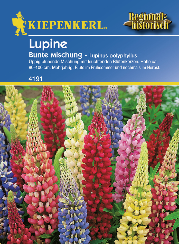 BRUNO NEBELUNG Lupinus Bunte-Mischung PG D