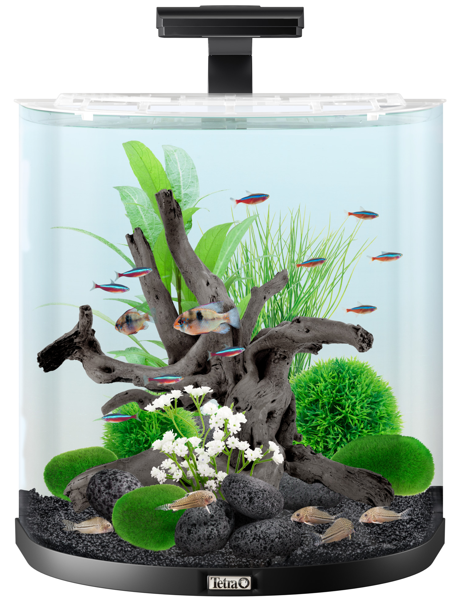 TETRA Tetra Aqua Art Aquarium Explorer 60L 