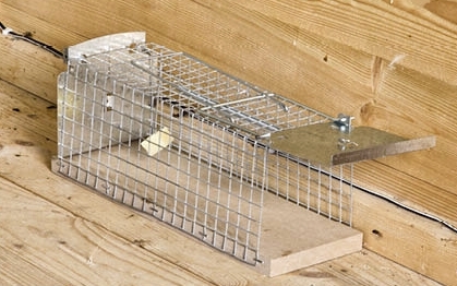 WINDHAGER HANDELSGESELLSCHAFT M.B.H. - T Drahtkasten-Mausefalle 