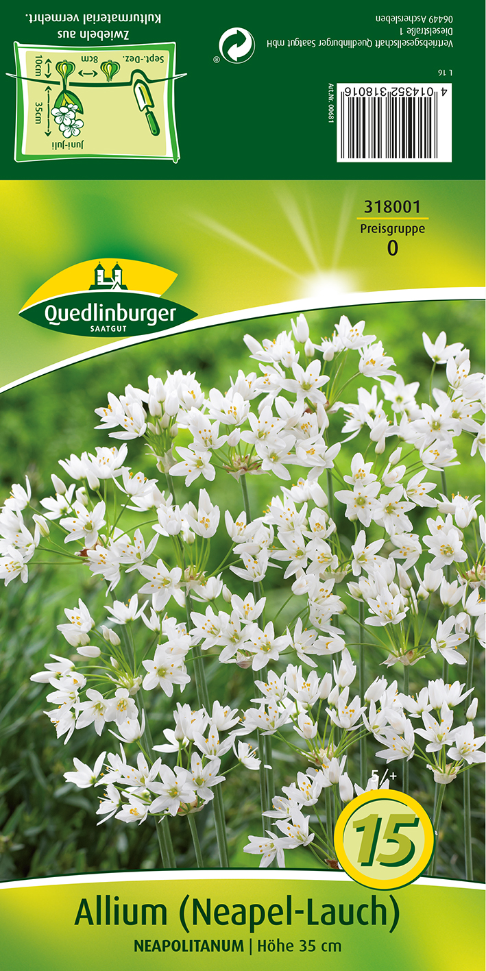 VERTRIEBSGESELLSCHAFT QUEDLIN- - Allium Neapolitanum Nepallauch weiss 