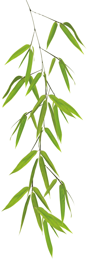KLEINE WOLKE Deco-Elemente Static Bamboo 23x68cm 