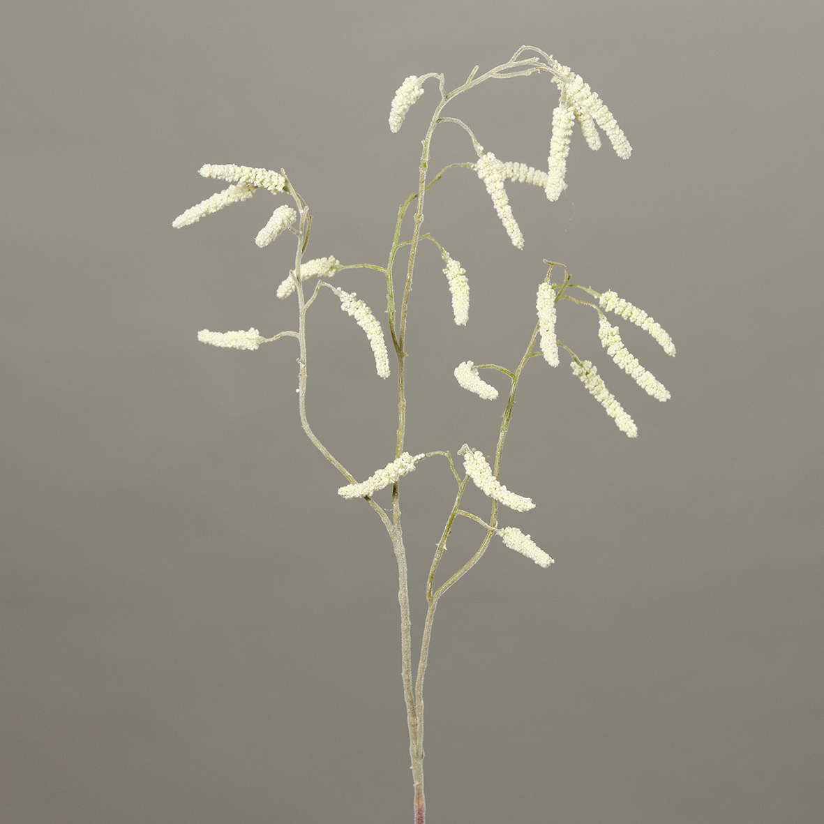 DPI GMBH - BRÜHL Birkenzweig geeist 96cm 