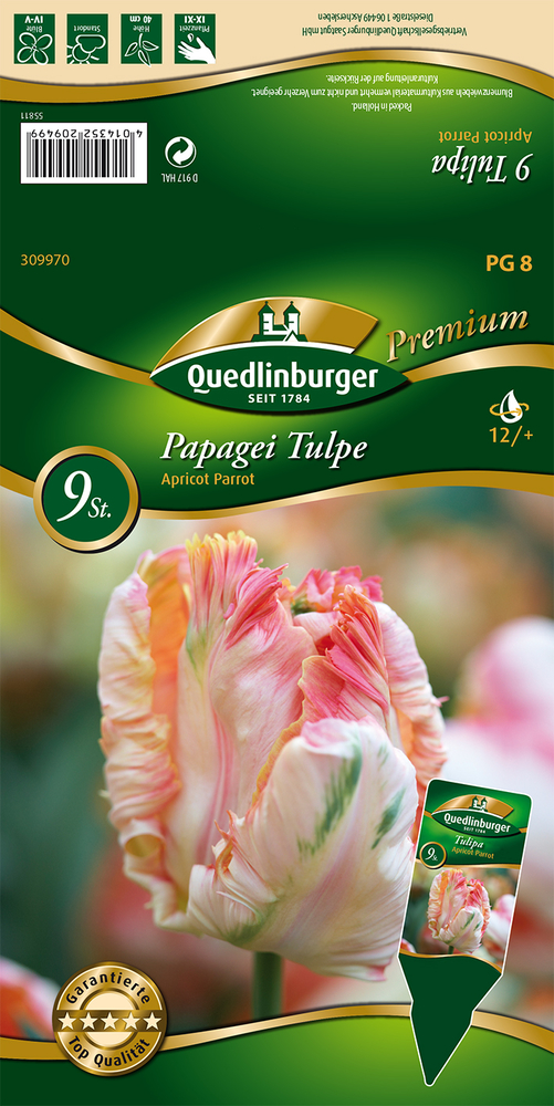 VERTRIEBSGESELLSCHAFT QUEDLIN- - Papagei Tulpe, Apricot Parrot Premium Blumenzwiebeln