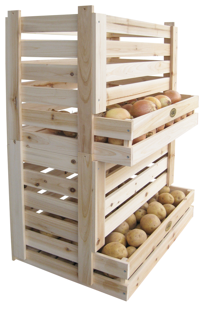 HABAU GMBH Kartoffel und Obstkiste B58xT38xH42cm 