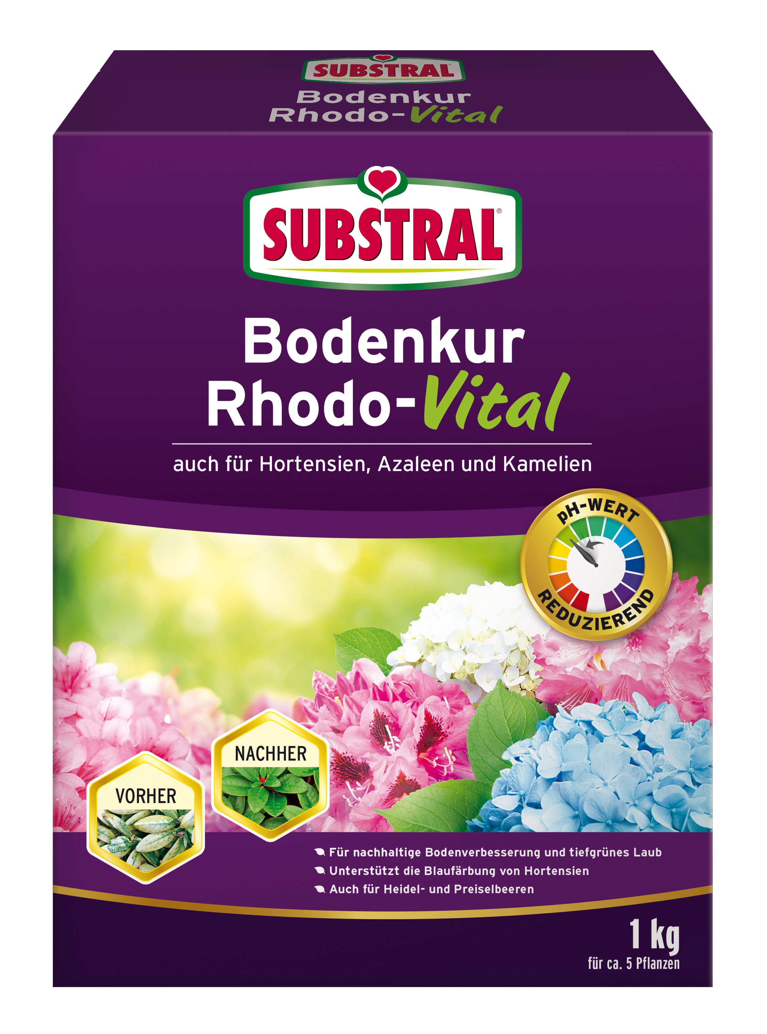 CELAFLOR Substral Bodenkur Rhodo-Vital 1 kg Substral