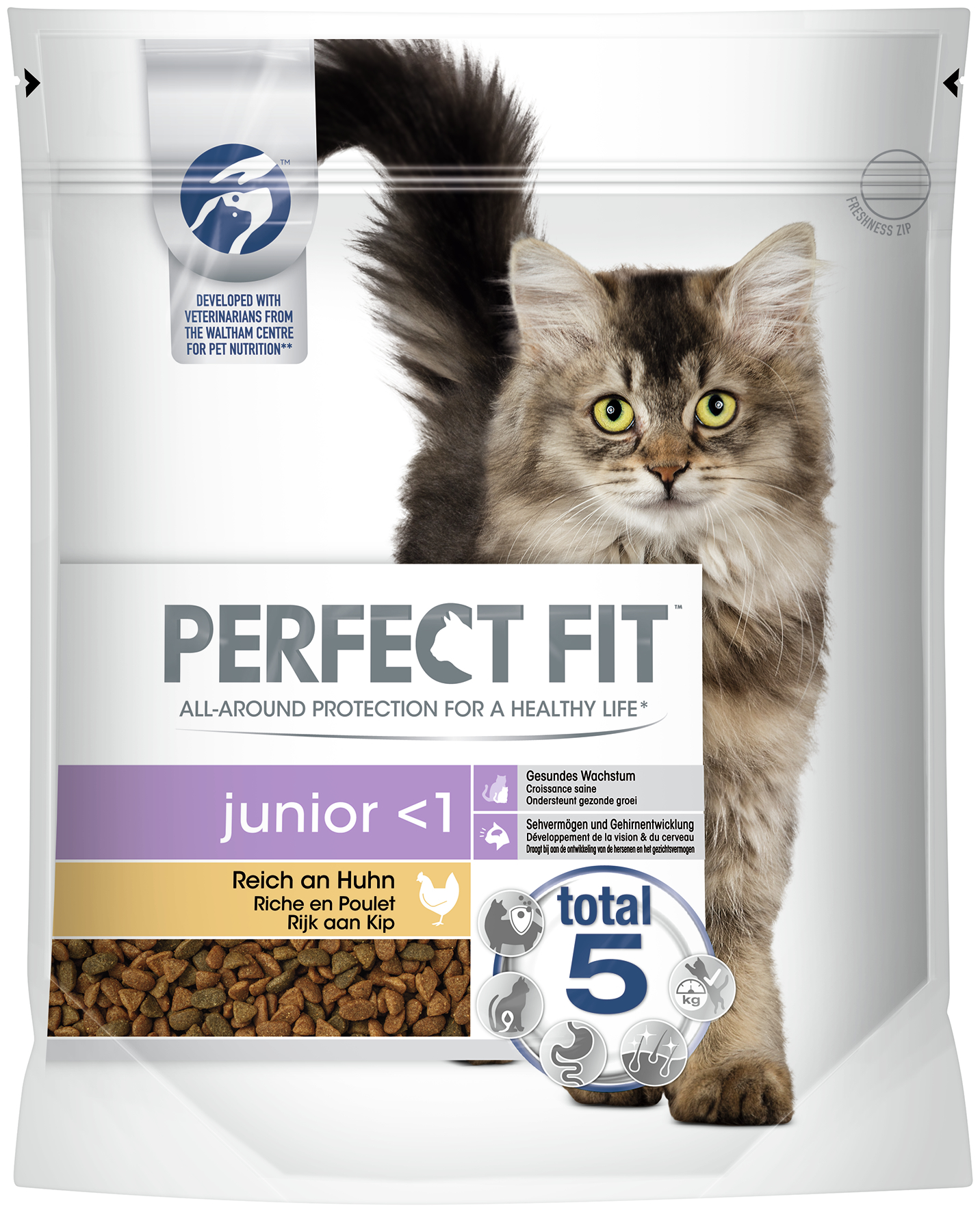 BTG BETEILIGUNGS GMBH Per.Fit Cat Junior 