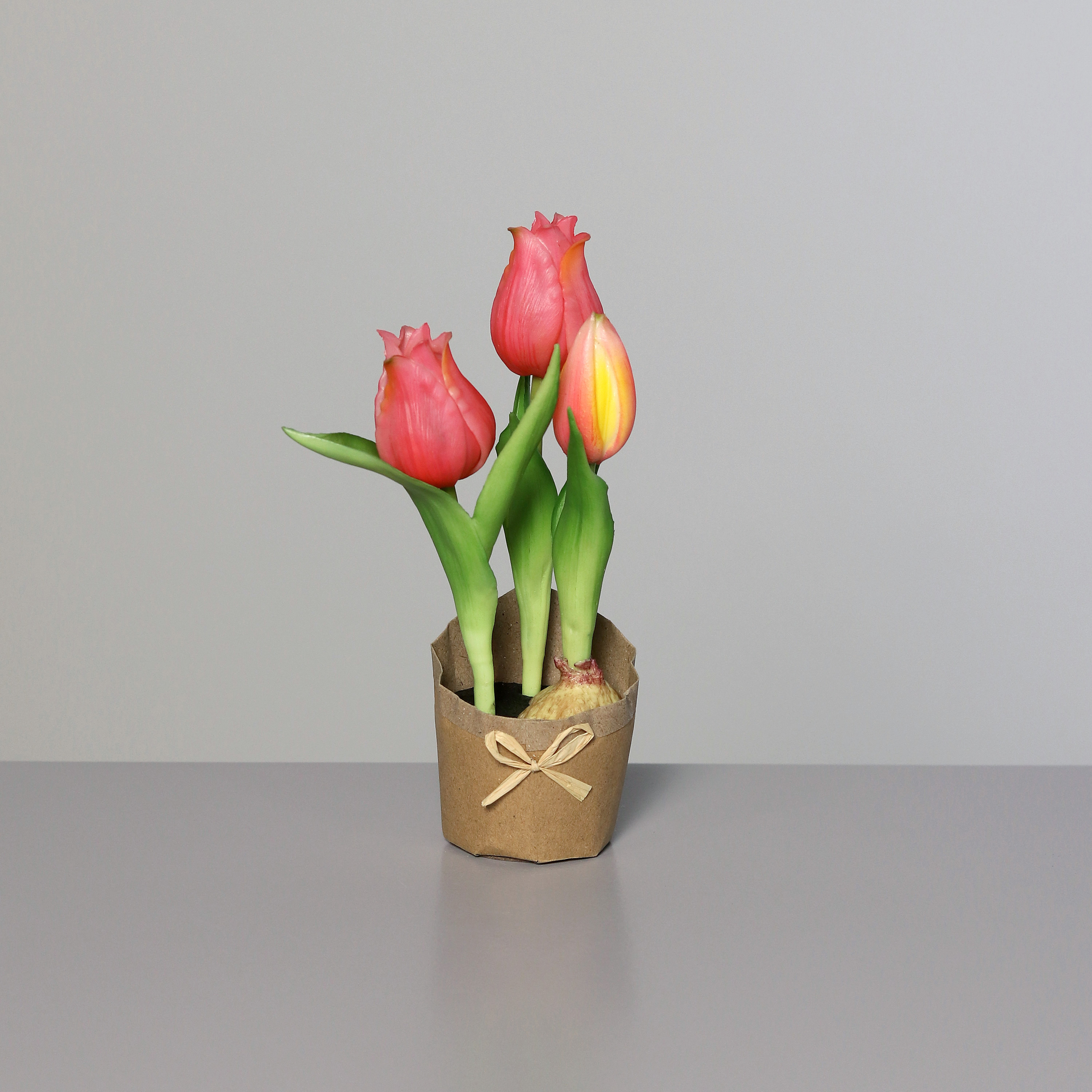 DPI GMBH - BRÜHL Tulpe 3 Blüten im Topf rosee-pink 19cm 