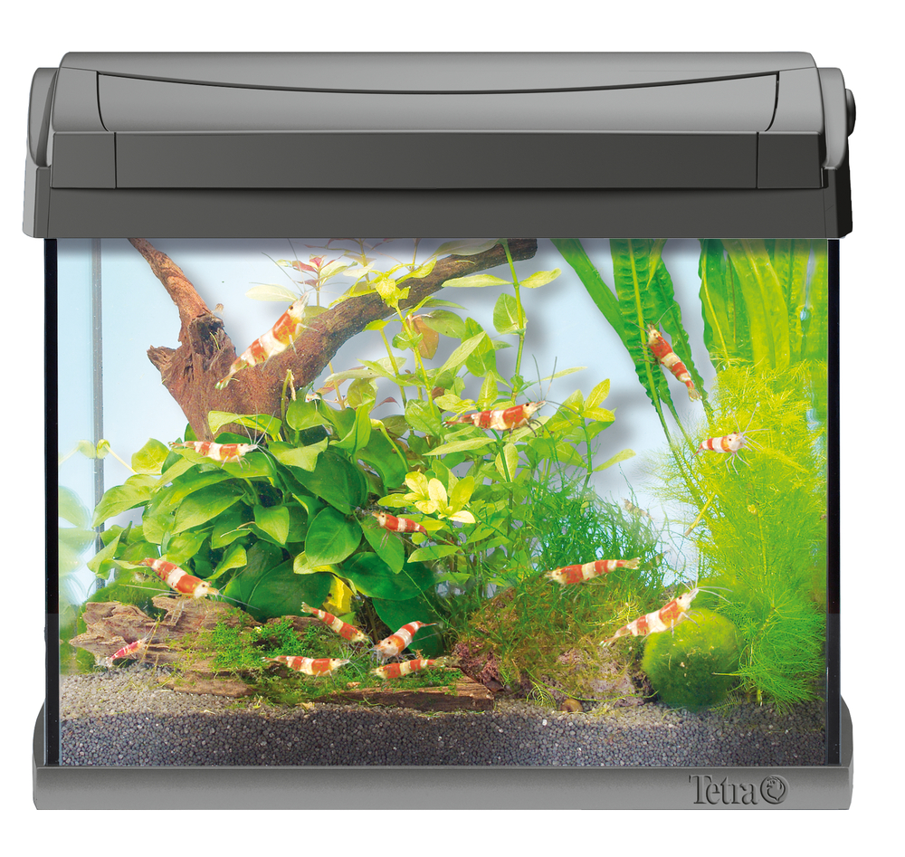 TETRA Tetra Aqua Art LED Aquarium-Kom-Set 20L Aquarium-Komplett-Set Anthrazit
