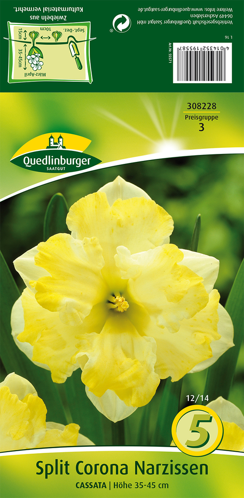 VERTRIEBSGESELLSCHAFT QUEDLIN- - Narzisse corona Cassata außen weiß  gelb 