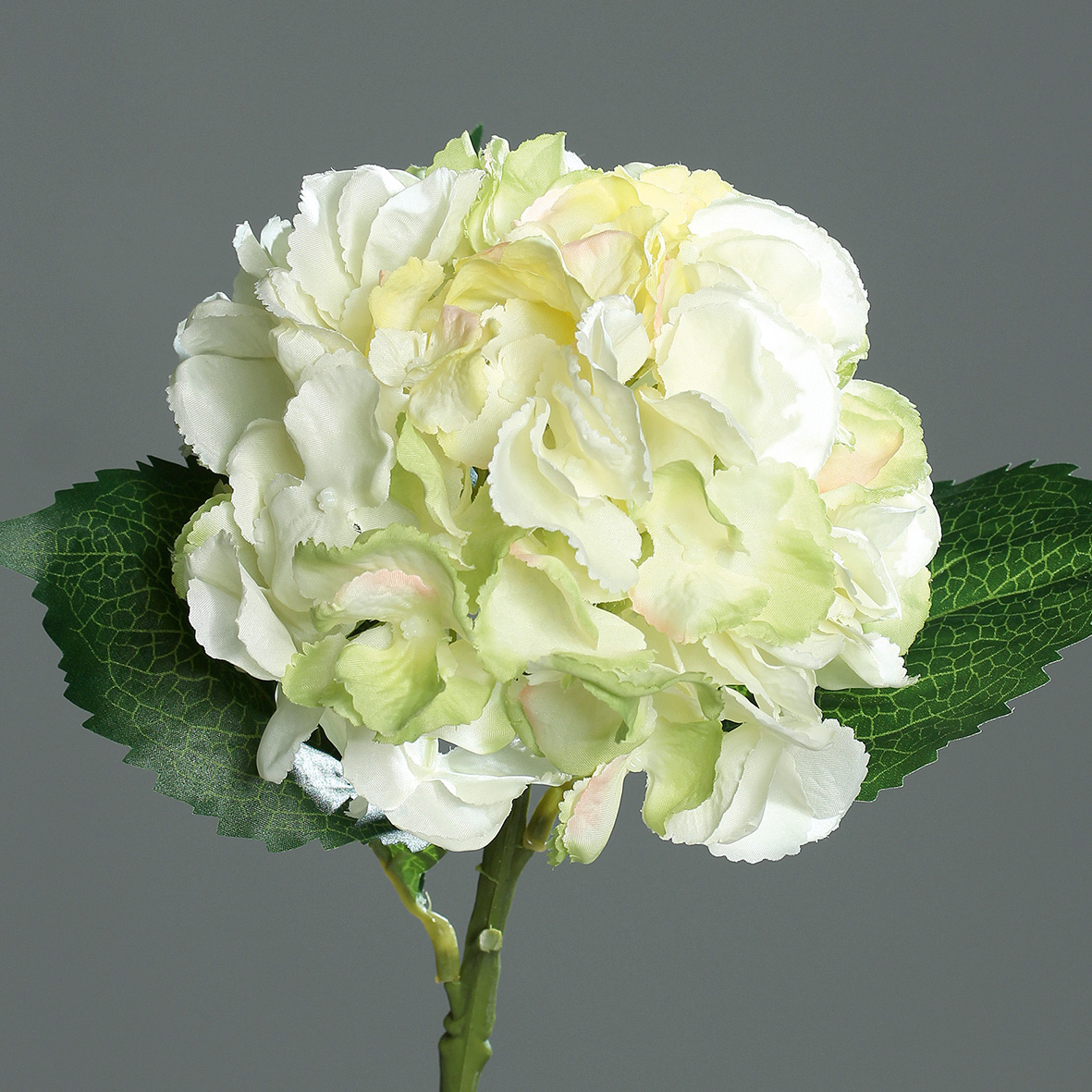 DPI GMBH - BRÜHL Hortensie green-cream mit Blättern 44cm 