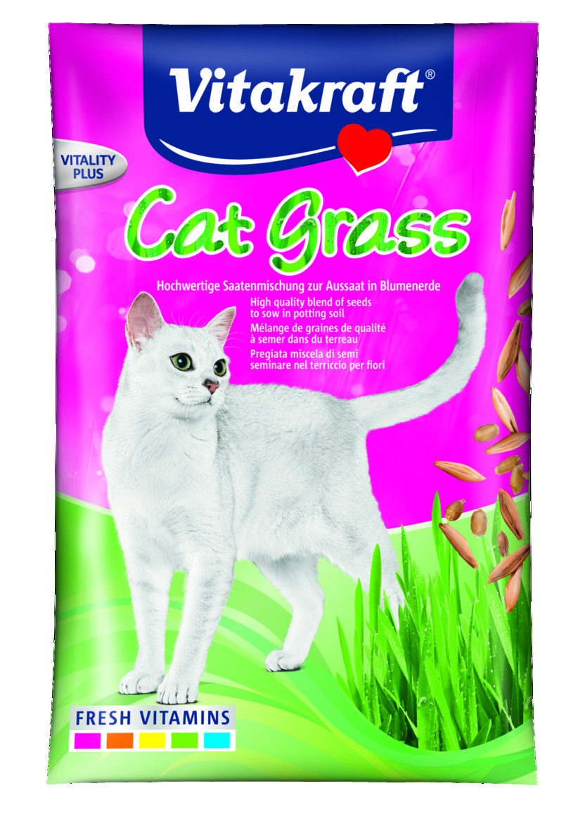 VITAKRAFT Cat-Gras Saatenbeutel 50g 