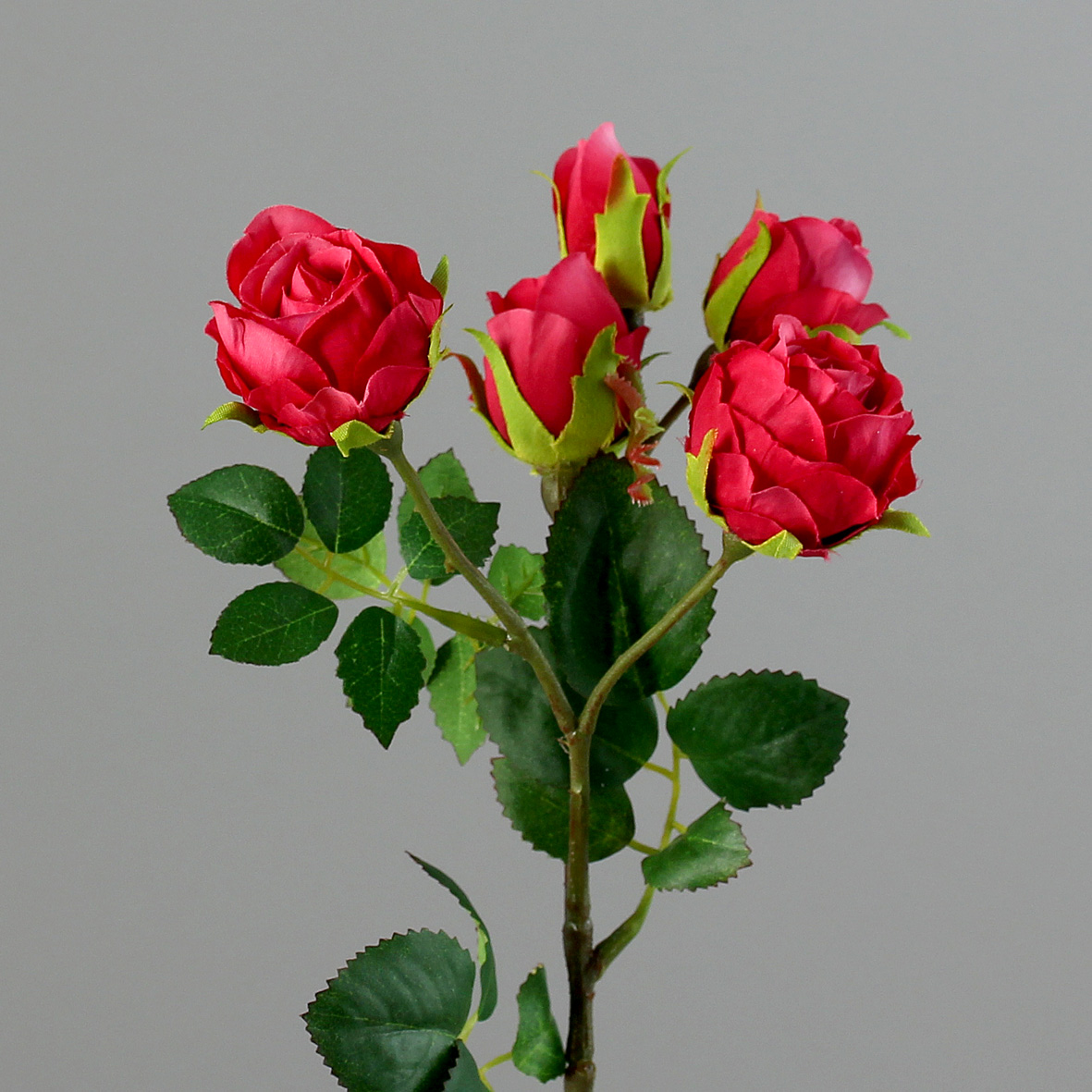 DPI GMBH - BRÜHL Mini-Rosenzweig 5 Blüten fuchsia 37cm 