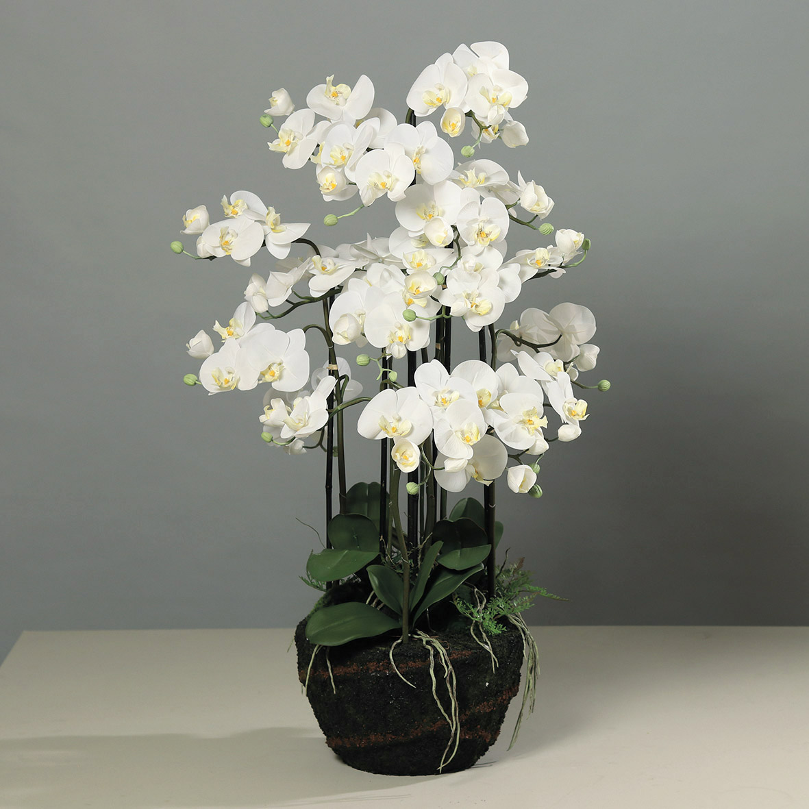 DPI GMBH - BRÜHL Orchideen iErdballen m. Farn cream 110cm 
