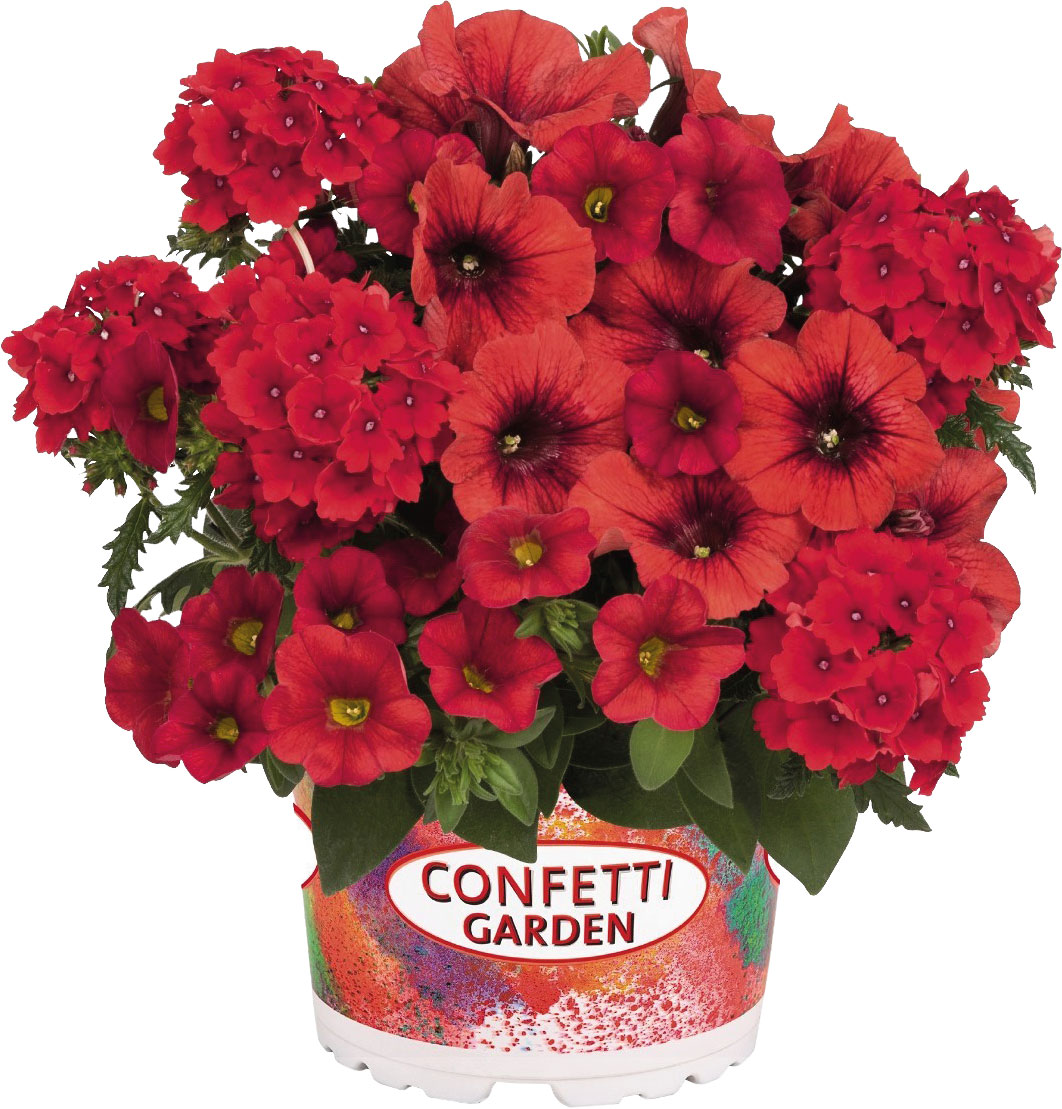 LANDGARD FACHHANDEL GMBH & CO. Trio Confetti Garden Red Fox T 13 