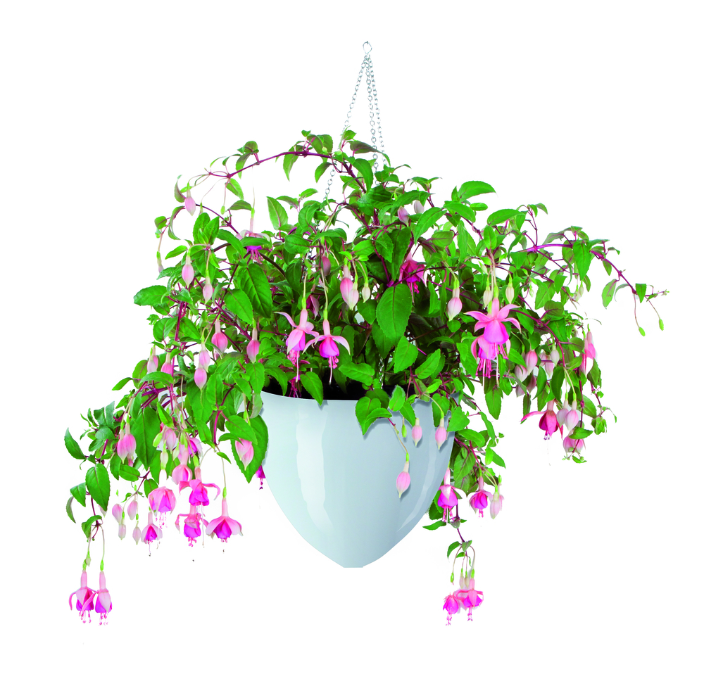 SCHEURICH Hängeampel Bright White 209/20 Outdoor-KS