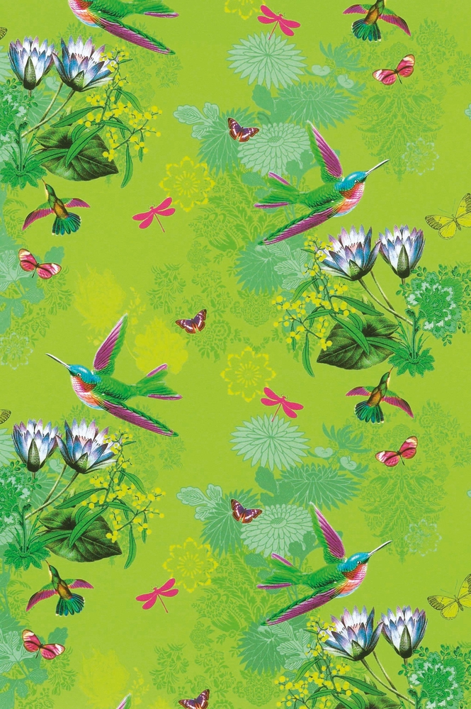TESTRUT (DE) GMBH - WESEL Geschenkpapier 200x70cm sort. Dekore 
