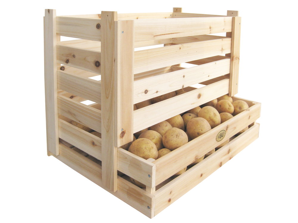 HABAU GMBH Kartoffel und Obstkiste B58xT38xH42cm 