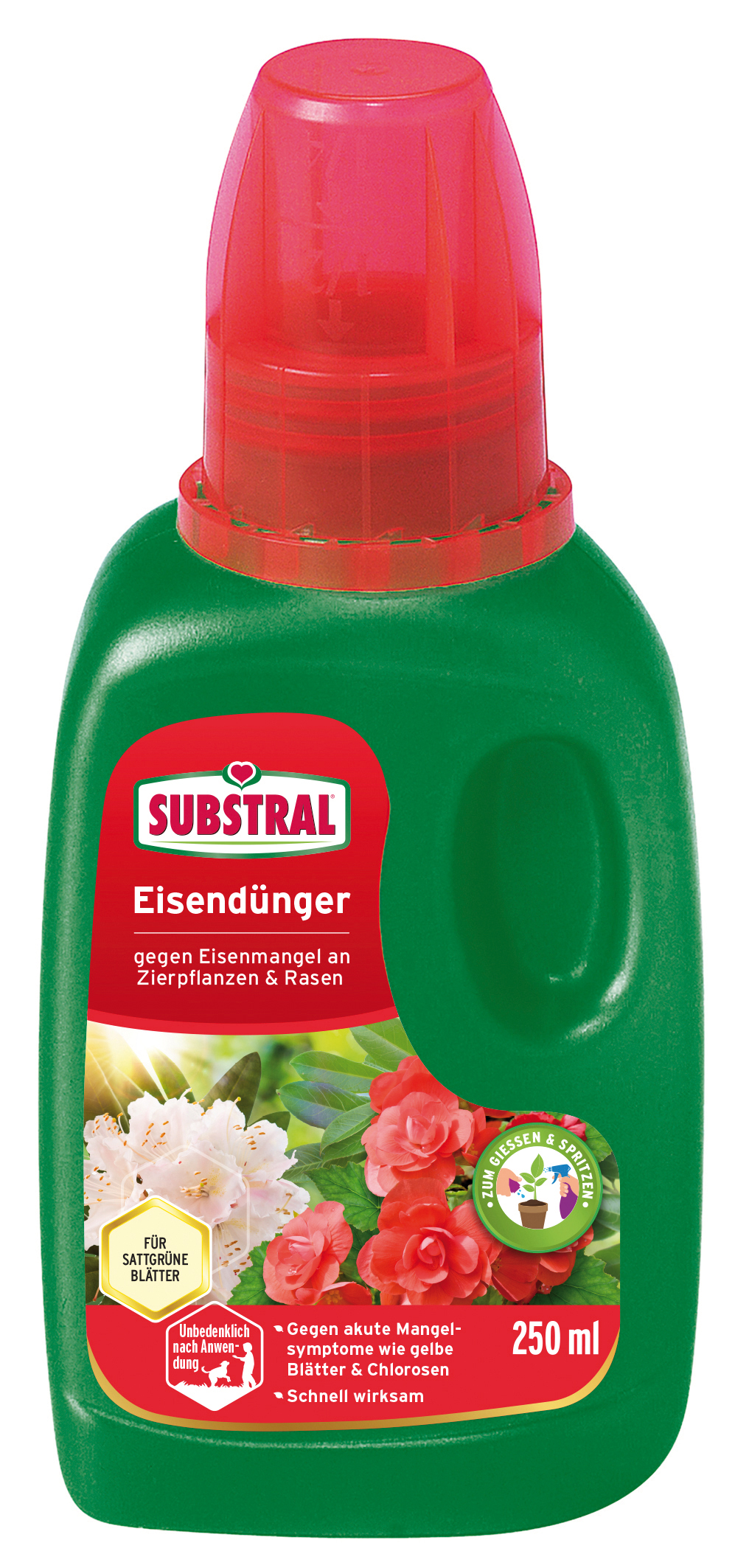 CELAFLOR Substral Eisendünger 250ml Celaflor