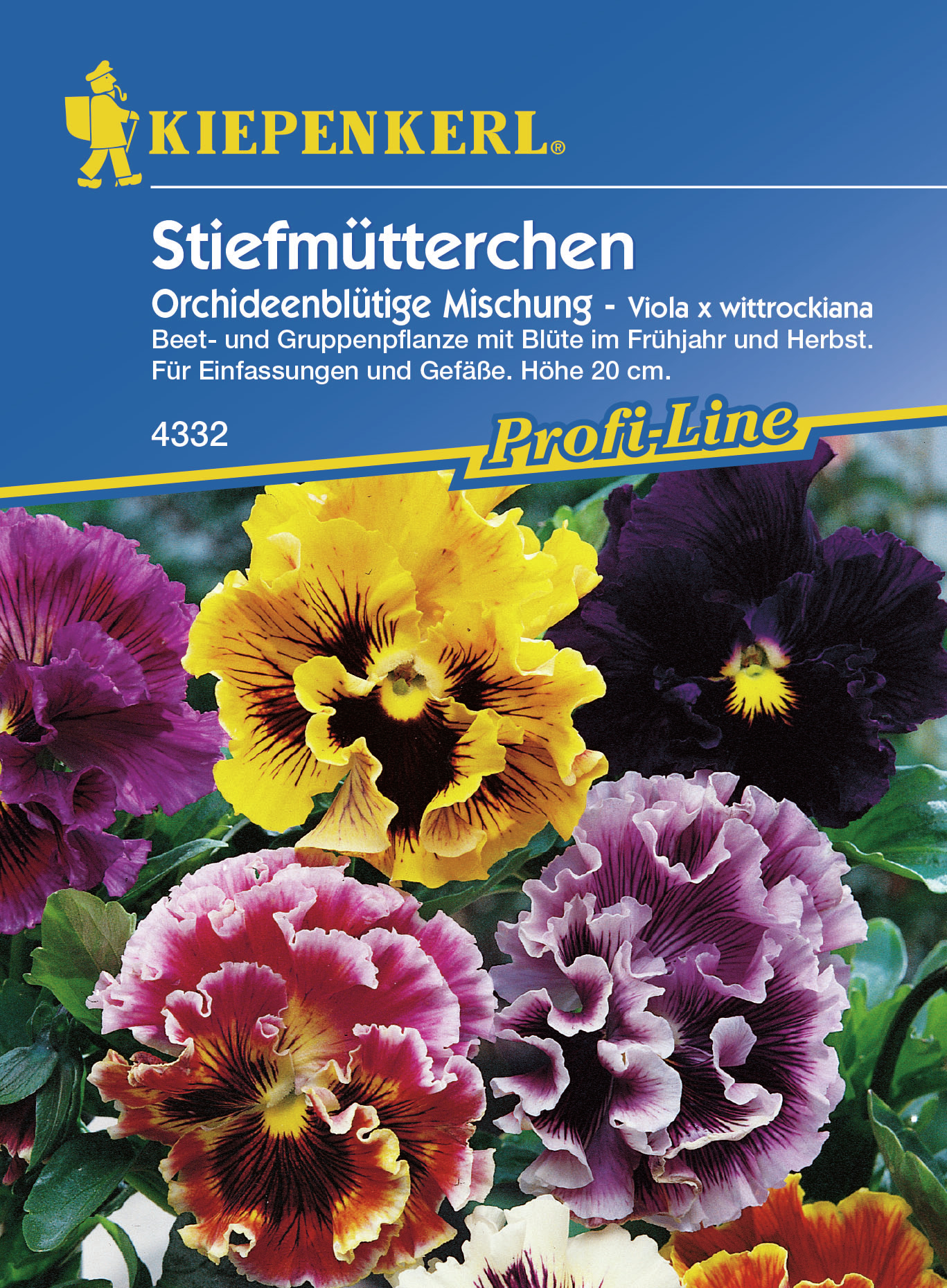 BRUNO NEBELUNG Viola Orchideenblüt.Mix PG K