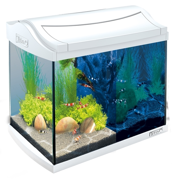 TETRA Tetra AquaArt LED Komplett-Set 20L Weiß Aquarium-Komplett-Set