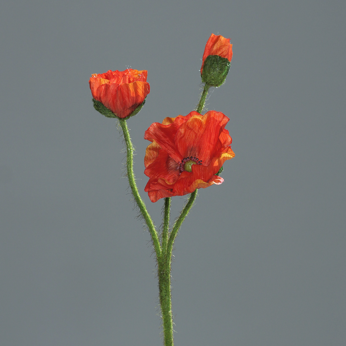 DPI GMBH - BRÜHL Mohn mit 3 Blüten orange 48cm 