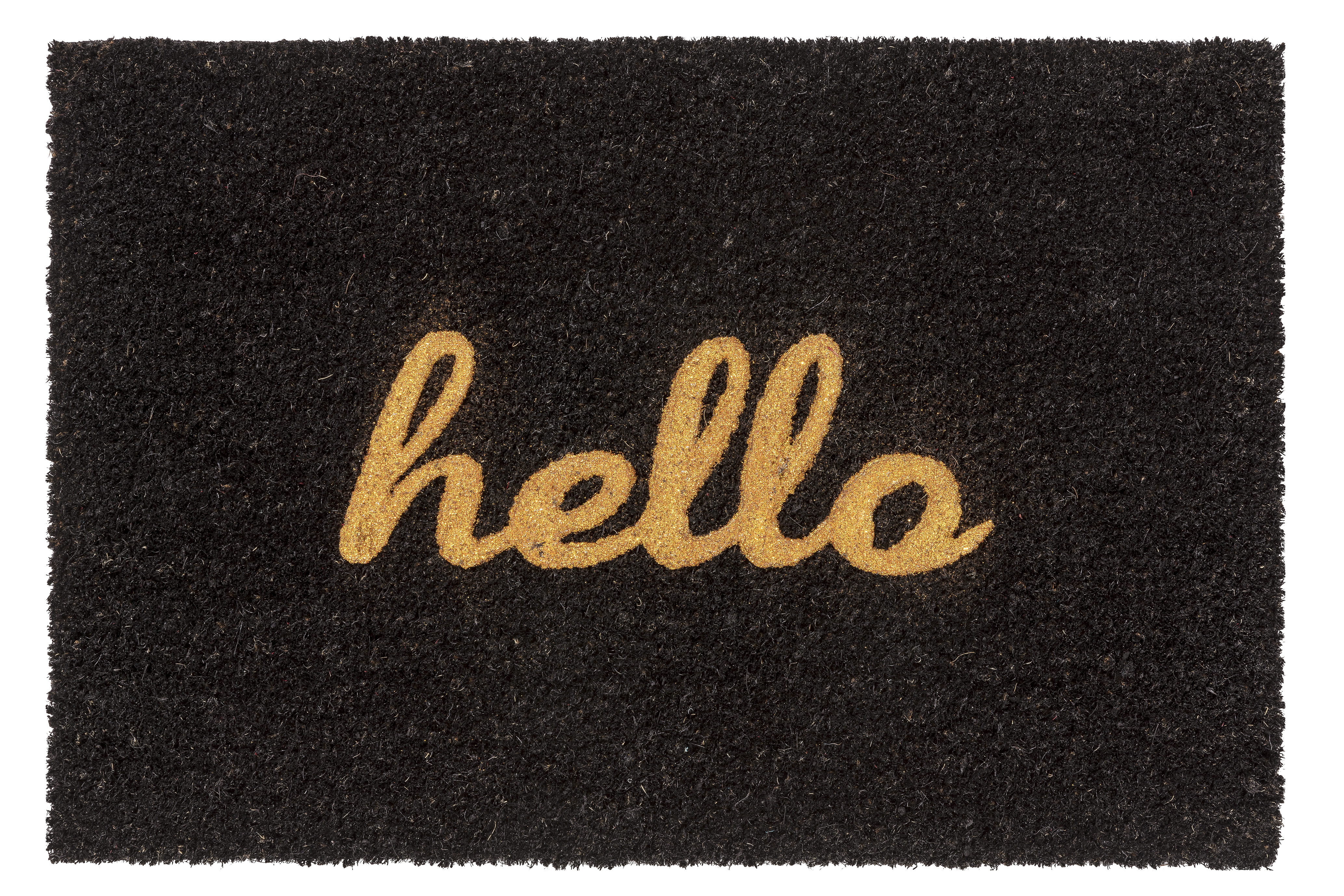 GOLZE & SÖHNE Fußmatte Coco Glitter Hello schw.-gold D.008 40x60cm