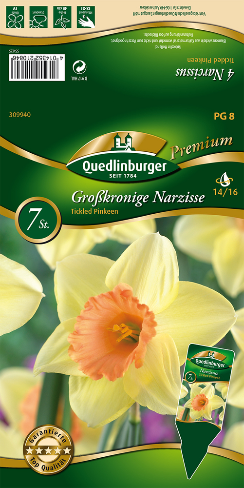 VERTRIEBSGESELLSCHAFT QUEDLIN- - Narzisse Tickled Pinkeen, großkronig Premium Blumenzwiebeln