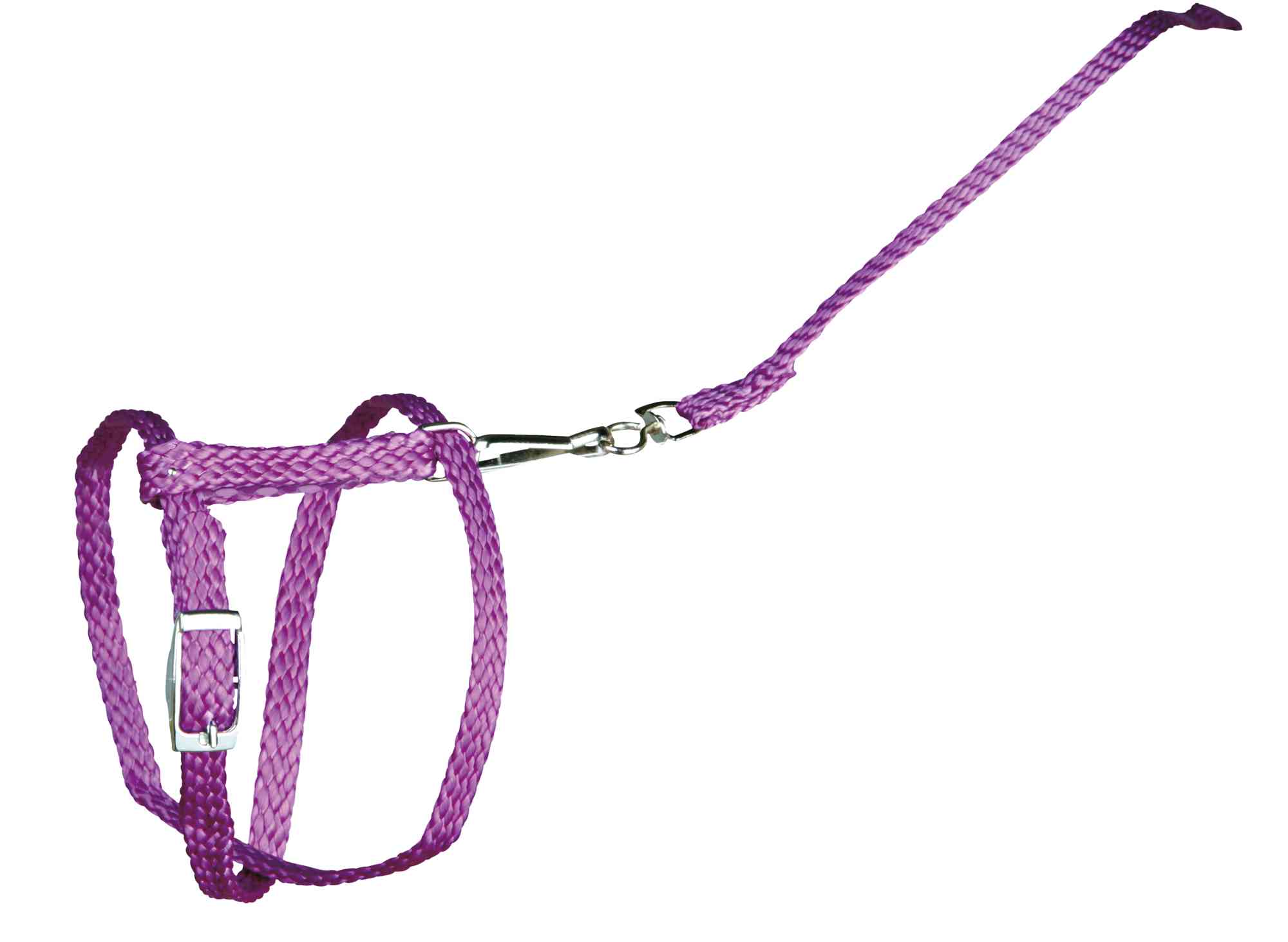 TRIXIE HEIMTIERBEDARF Kleintier-Garnitur mit Leine Nylon 8mm Nager