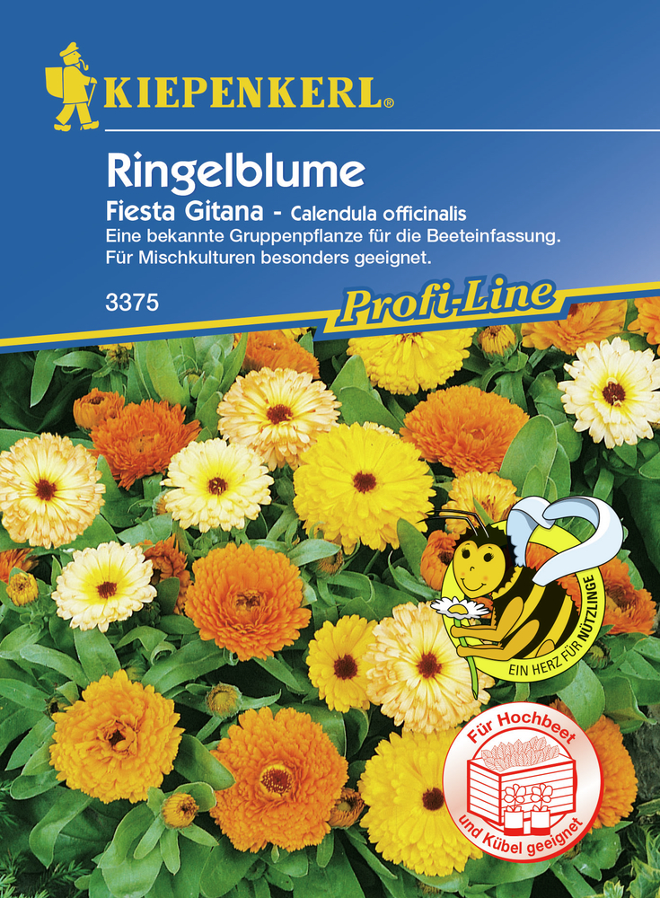 BRUNO NEBELUNG Calendula Fiesta Gitana PG D