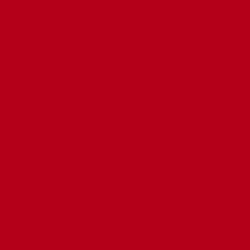 XAVER SCHNEIDER GMBH & CO. KG - MENGEN Locarno rot 150/8 